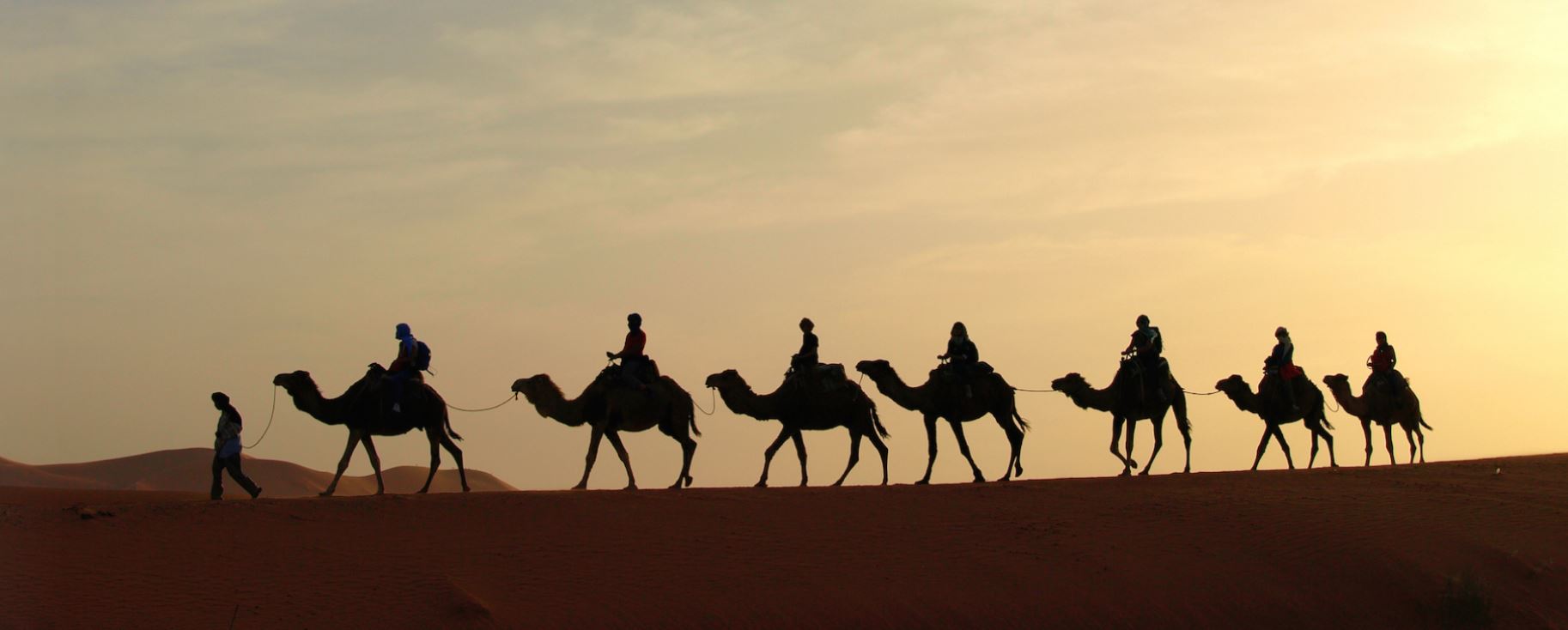 Tour en Rajasthan