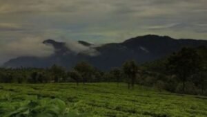 Tour du Tamil Nadu